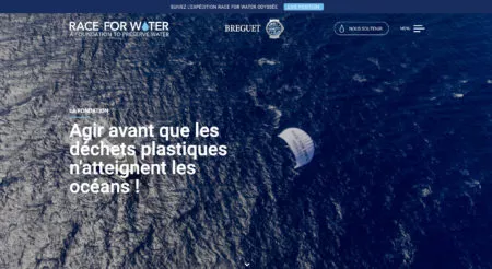 Capture d'écran de la page d'accueil du site raceforwater.org